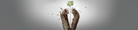 The Rhythm of Resilience: Rising Through Life’s Challenges