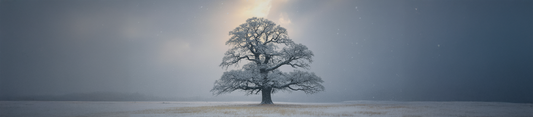 The Strength of Stillness: Finding Calm in a World That Never Stops