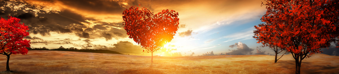 The Magic of Falling in Love: Embracing the Journey of the Heart