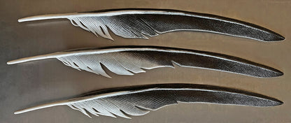 Making Realistic Feathers using Modeling Glass, with Lois Manno