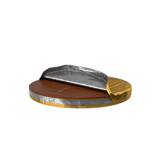 Chocolate Gelt Coin 2