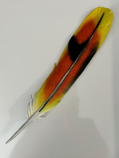 02/21-02/23 Modeling Glass™: Feathers and BEYOND! with Lois Manno