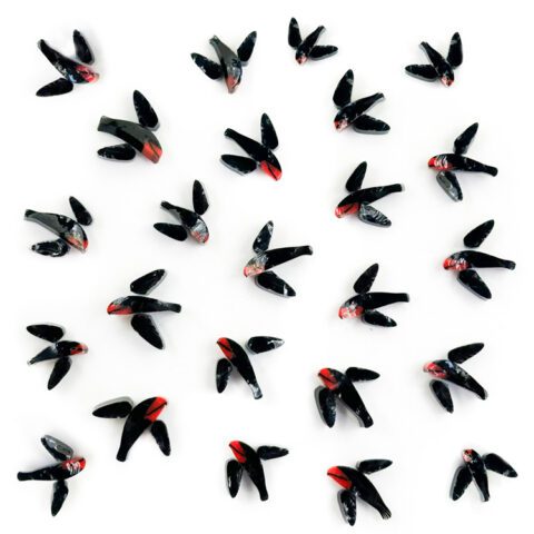 Swallows Mix