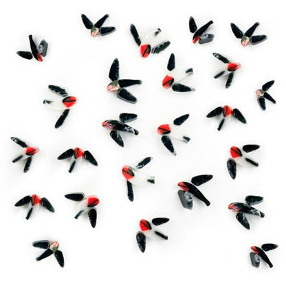 Swallows Mix