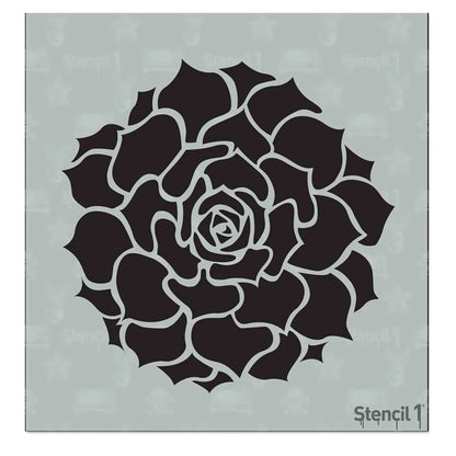 Succulents Hens & Chicks Stencil – Small (5.75″ x 6″)