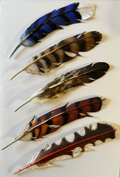 Making Realistic Feathers using Modeling Glass, with Lois Manno