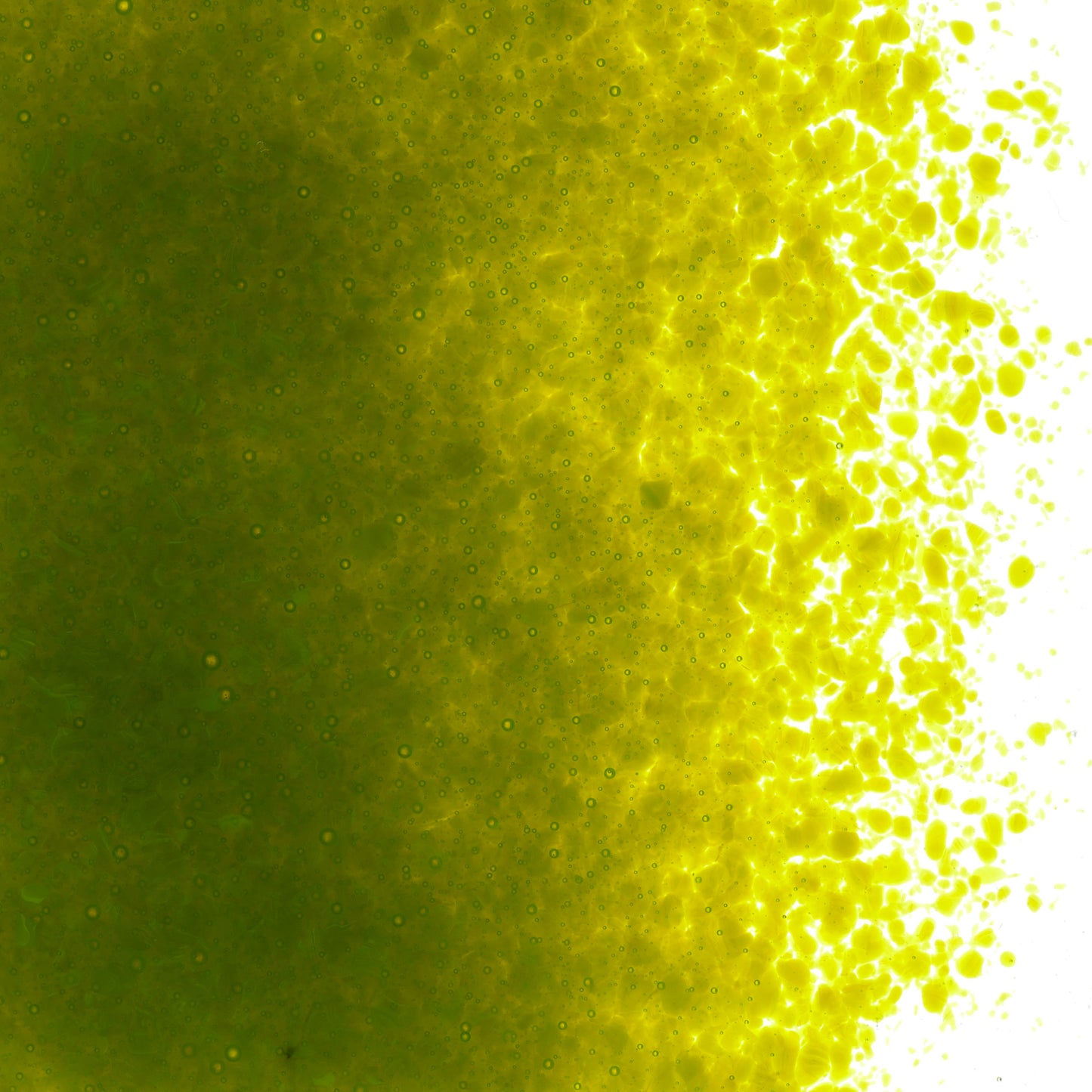 Avocado Green Opal Frit (0222), Fusible, 5 oz. jar