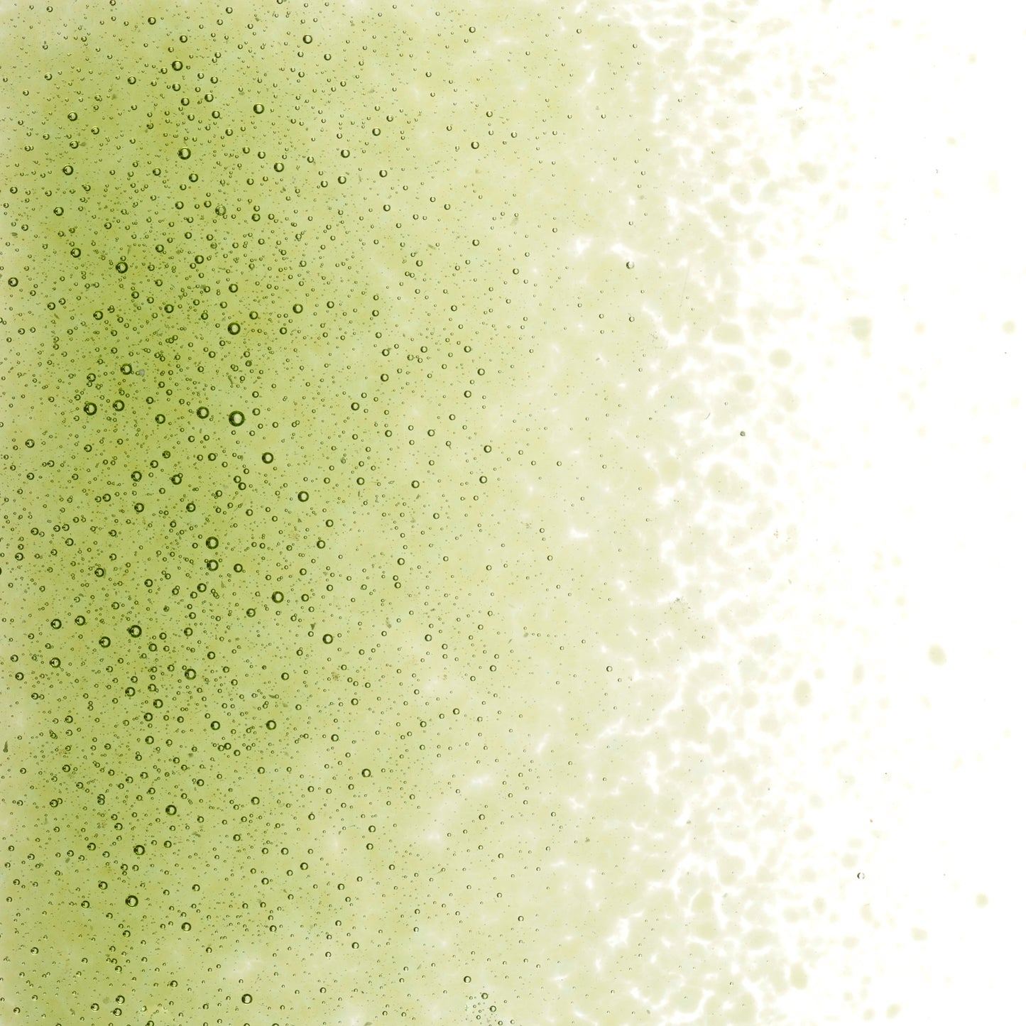 Fern Green Trans (1207), Frit, Fusible, 5 oz. jar