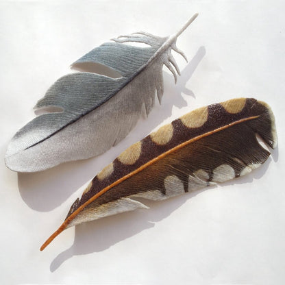 10/25-27 Modeling Glass™: Feathers and BEYOND! with Lois Manno