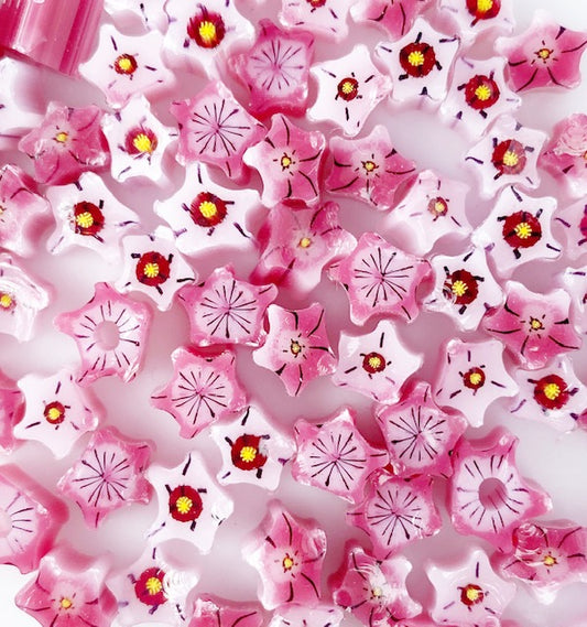 Pink and White Star Flowers