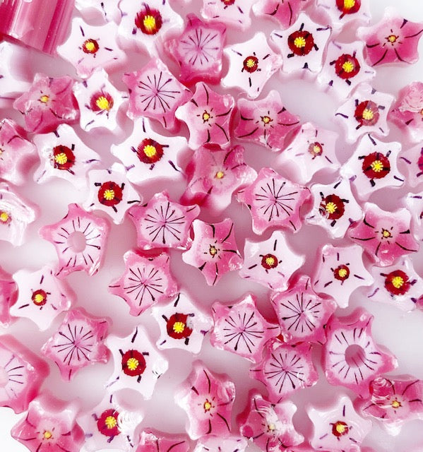 Pink and White Star Flowers