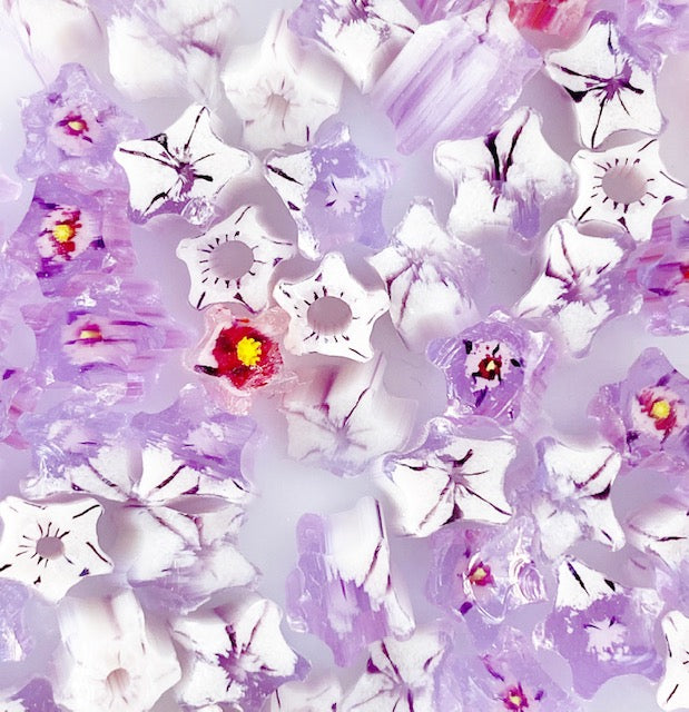 White & Neo Lavender Star Flower